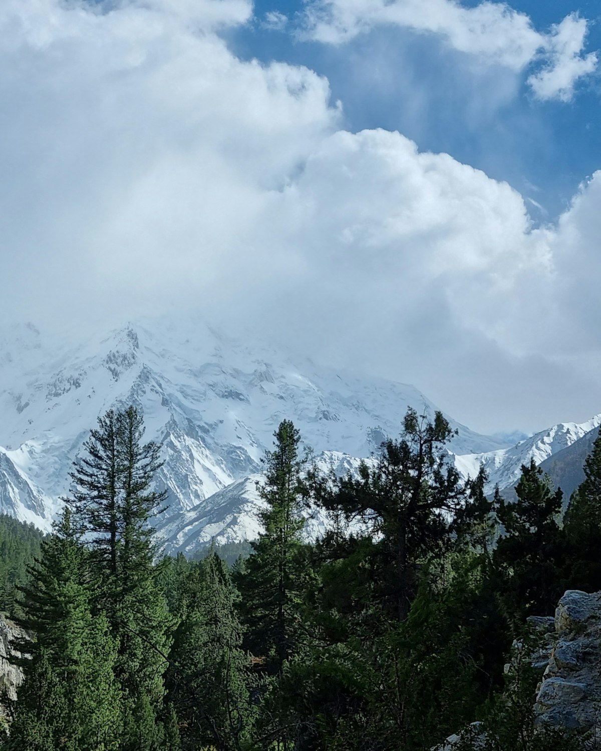 The Gilgit River running through the green Gahkuch valley