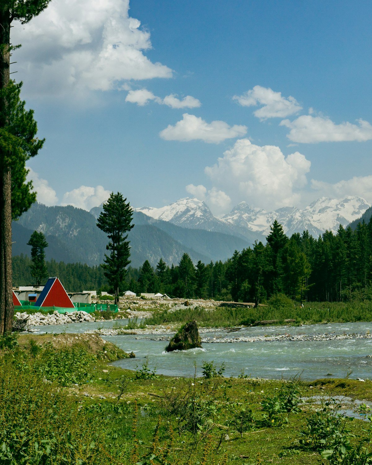 A coloured alpine lake among pine forest in the Naltar valley
