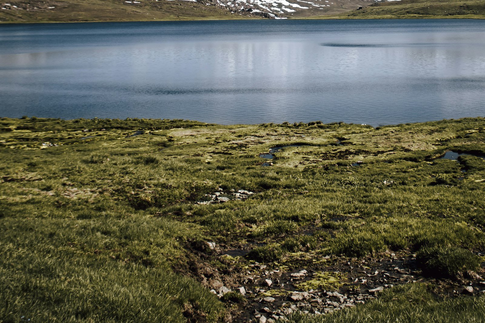 The green Deosai plateau with a lake and distant snow under a wide sky